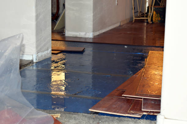 Professional Basement Flood Cleanup technician working in Yorkshire, OH